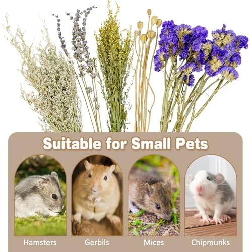Fhiny Natural Hamster Bedding, Flower & Herb Hamster Bedding Mate Hamster Sprays Gerbil Habitat Decor Accessories for Dwarf Syrian Hamster Gerbil Mice Mouse Degus Lemming or Other Small Pets - Image 7