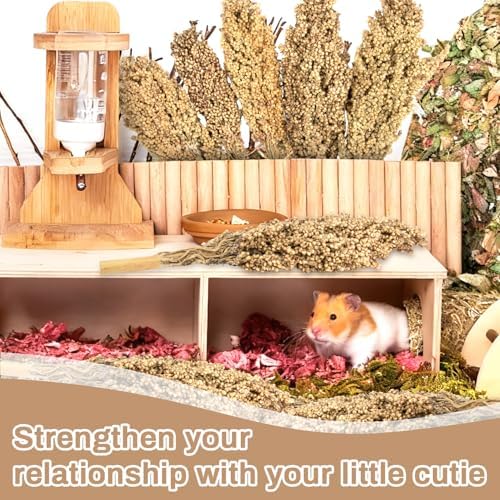 Sukh Natural Hamster Sprays - 5pcs Natural Sun-Dried Red Sorghum Grain,Flower & Herb Grain Stalks for Cage Habitat Bedding Decor for Dwarf Syrian Hamsters,Gerbils,Mice,Cockatiels - Image 4