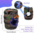 EVELOMO colorful coral reef set arranged inside a small fish aquarium