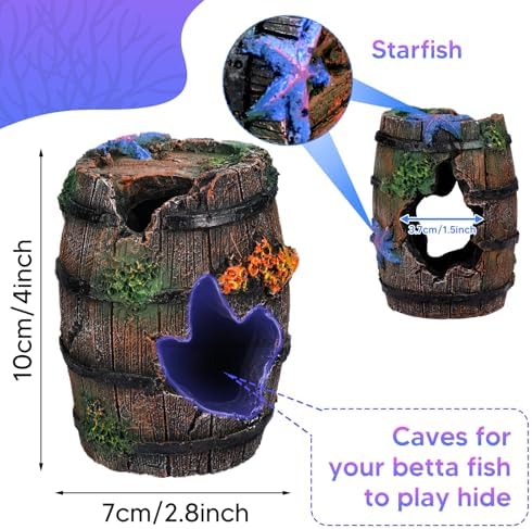 EVELOMO colorful coral reef set arranged inside a small fish aquarium