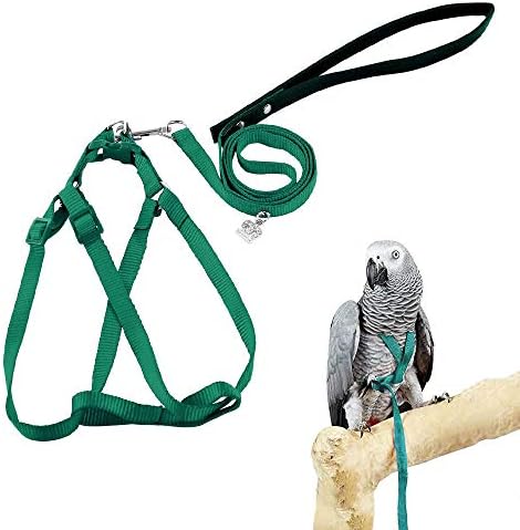 Detailed view of the Asocea parrot harness buckle and nylon straps