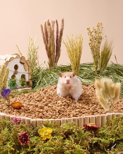 BUCATSTATE 60PCS Natural Hamster Bedding - Flowers & Herbs & Sprays for Cage Habitat Decor - Treat Cereal Grain for Dwarf Syrian Gerbils, Mice, Rat, Forage, Enrichment. - Image 8