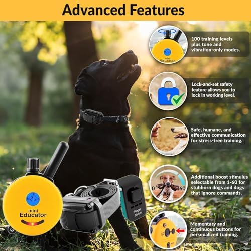 Mini Educator ET-300 dog training collar set showing biothane strap and finger clicker