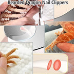 Delllala bald iguana cage cleaning accessories arranged neatly to display full kit contents.