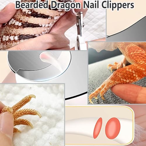 Delllala bald iguana cage cleaning accessories arranged neatly to display full kit contents.