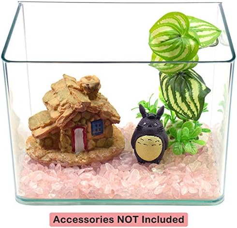 Natural pink crystal stones topping a potted succulent plant