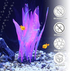Aquarium layout featuring pink glowing kelp ornaments providing shelter for fish