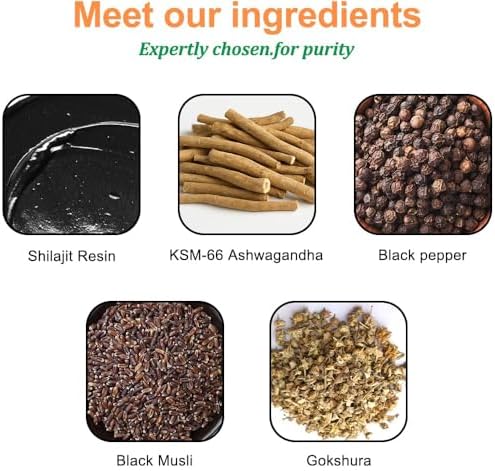 Premium sugar-free and vegan alpha shilajit chewable supplements for daily energy and vitality enhancement.