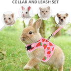 Rear view of strawberry pattern pet harness highlighting dual metal D-rings for leash attachment.
