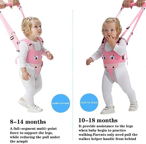 Iulonee toddler walking assistant showing adjustable straps