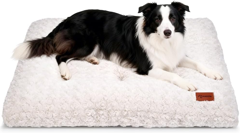 Foldable and portable Uligota kennel pad