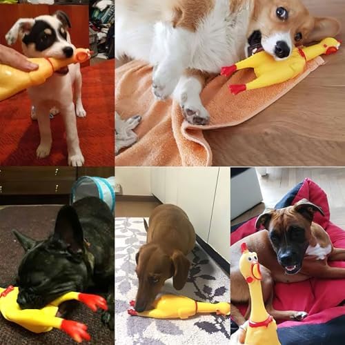POPLAY Squeaky Chicken interactive pet toy displaying the durable flexible material build.