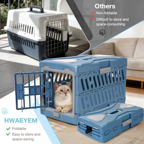 HWAEYEM durable hard sided travel carrier top down perspective clear window