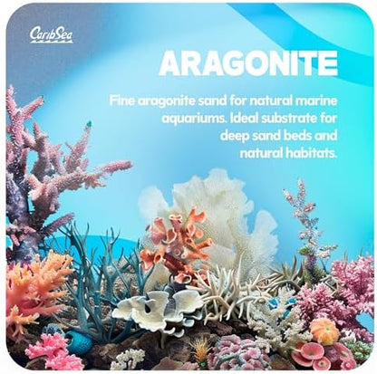 Carib Sea Aragonite sand used in a professional marine tank