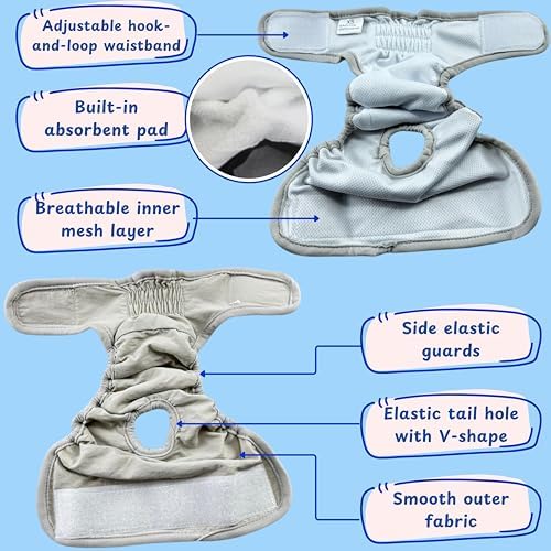 Soft cotton blend bearded dragon clothing set laid flat