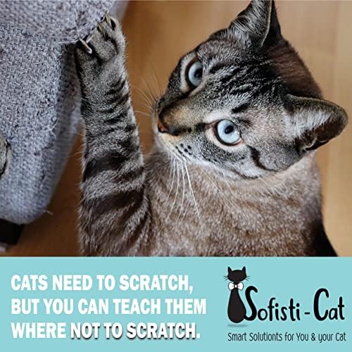 Sofisti-Cat furniture protector tape roll dimensions display