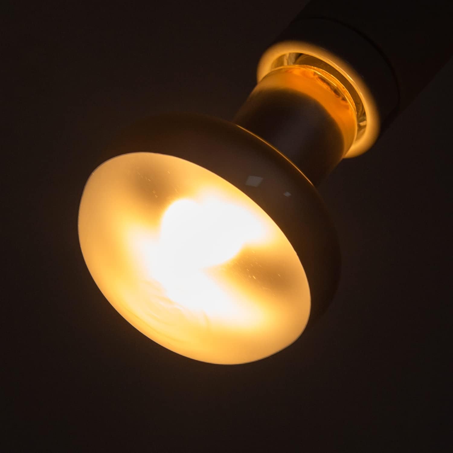REPTI ZOO 100W terrarium light bulbs unboxed demonstrating authentic packaging details and high quality construction