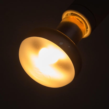 REPTI ZOO 100W terrarium light bulbs unboxed demonstrating authentic packaging details and high quality construction