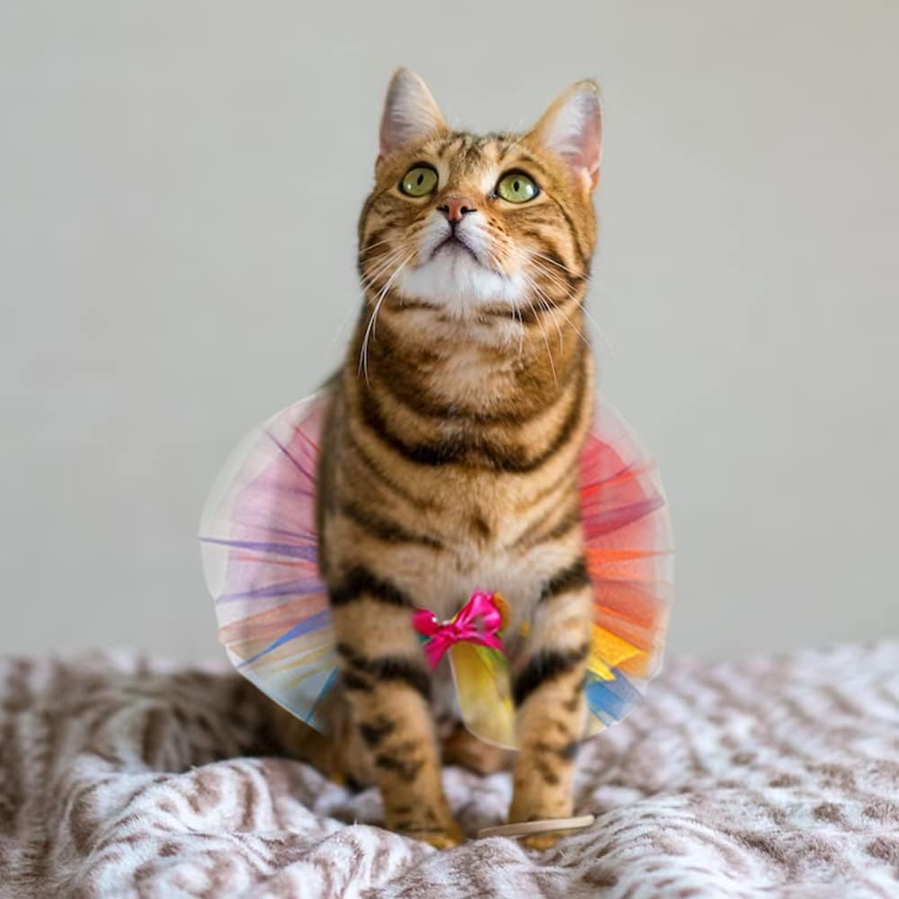 Breathable mesh fabric pet princess apparel side view