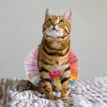 Breathable mesh fabric pet princess apparel side view