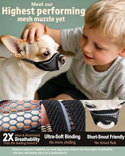 Adjustable strap and buckle detail on small dog muzzle