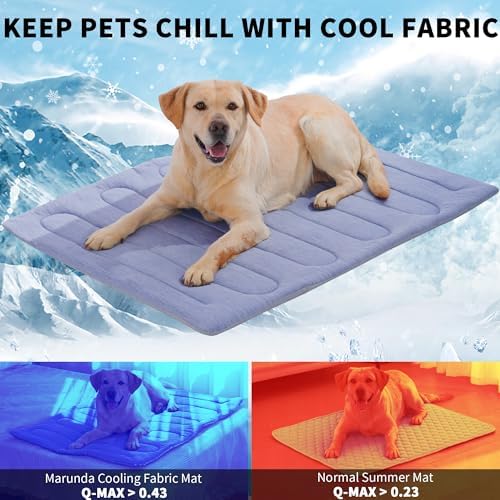 Large golden retriever dog relaxing comfortably on the self cooling mat