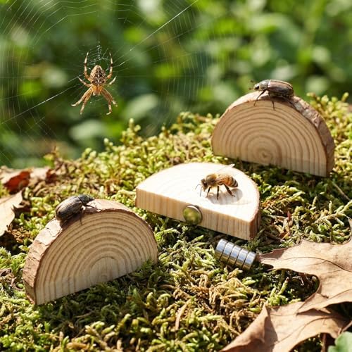 Jumping Spider Accessories, Jumping Spider Enclosure Accessories Kit Habitat Decor, 3Pcs Wood Decor, Fun Enclosure for Climbing & Hiding - Image 4