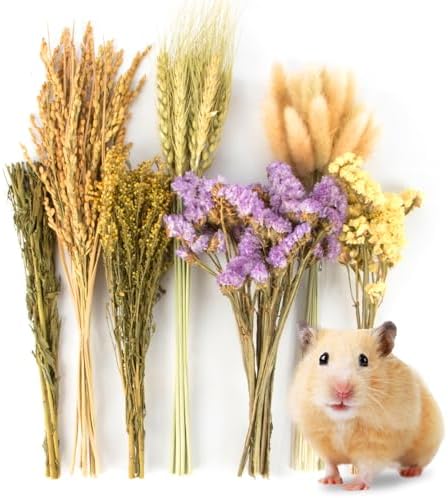Sukh 60Pcs Nature Flower Herb Hamster Bedding - Cage Enclosure Habitat Decor Mate Small Animal Natural Ear of Grain Sprays for Syrian Dwarf Hamsters Gerbils Rabbit Other Pets - Image 2
