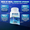 Fenolutra 18 In 1 Brain Supplement front view bottle of nootropic capsules for memory and focus