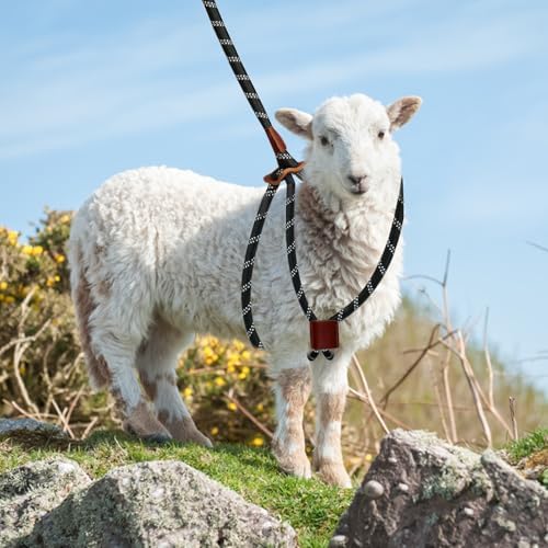 Detail shot of the quick-release security buckle mechanism on the HRYOML large livestock training harness