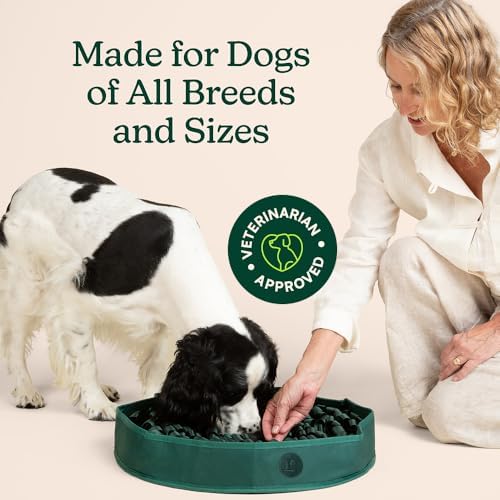 Reggie Interactive Dog Puzzle Mat being used by dog