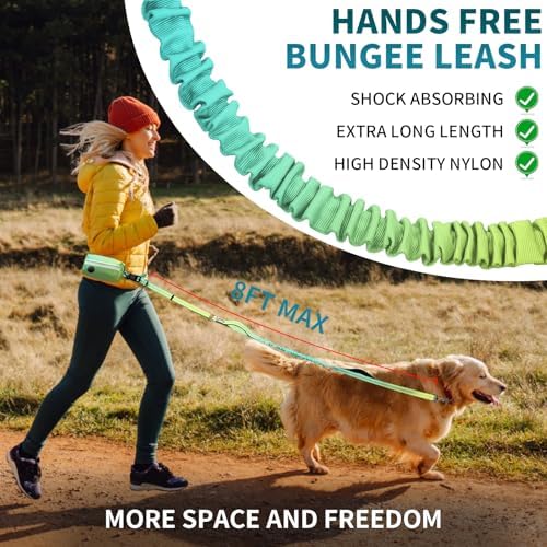 Kazazoo premium dog walking belt with heavy duty metal carabiners and attachments