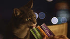 Cat eating Inaba Churu used as a daily food topper