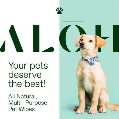 Alo all natural premium USA imported pet wipes for Indian pet parents