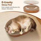 Premium imported cat scratcher bed supporting a kitten curling up for a comfortable nap