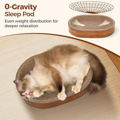 Premium imported cat scratcher bed supporting a kitten curling up for a comfortable nap