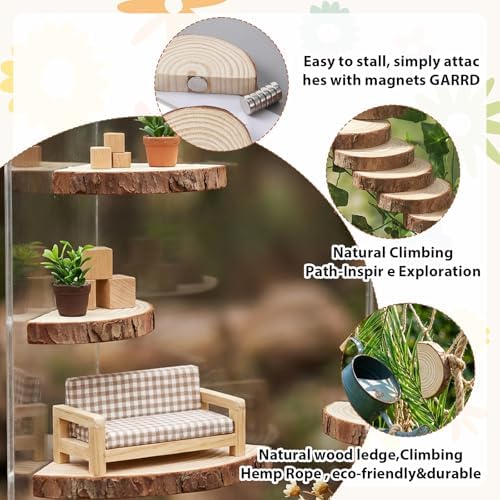 Jumping Spider Accessories, Jumping Spider Enclosure Accessories Kit Habitat Decor, 3Pcs Wood Decor, Fun Enclosure for Climbing & Hiding - Image 8