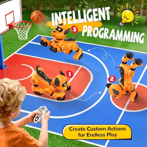 Children playing with Anysun programmable robot pet