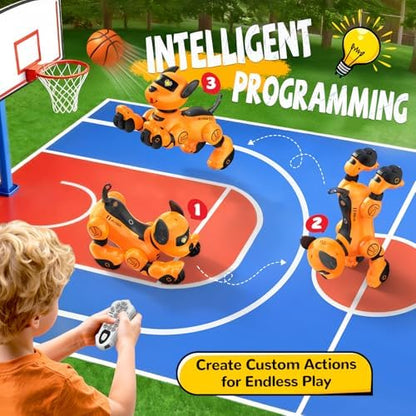 Children playing with Anysun programmable robot pet