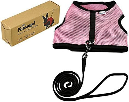 Niteangel pet safety harness packaging and contents
