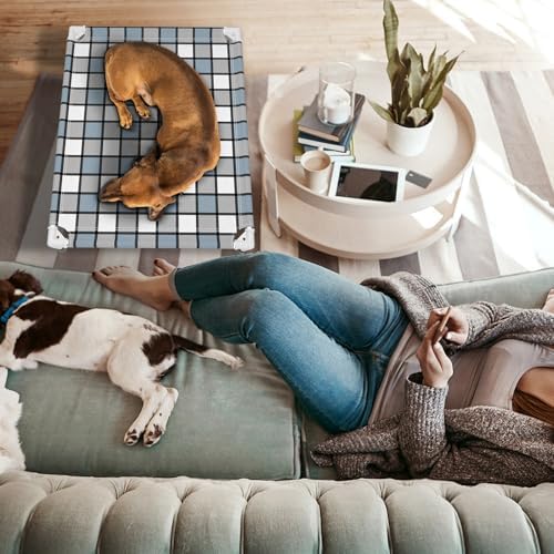Caghash Elevated Outdoor Raised Dog Bed Outdoor Dogs Bed Lifted Pet Bed Dog Cot for Medium Pet Taste Life, Start with A Pet Bed 34'' x 26'' x 6.5'' - Image 6
