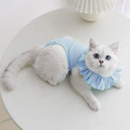 Kukaster Pet feline surgical garment covering the abdominal wound area securely.