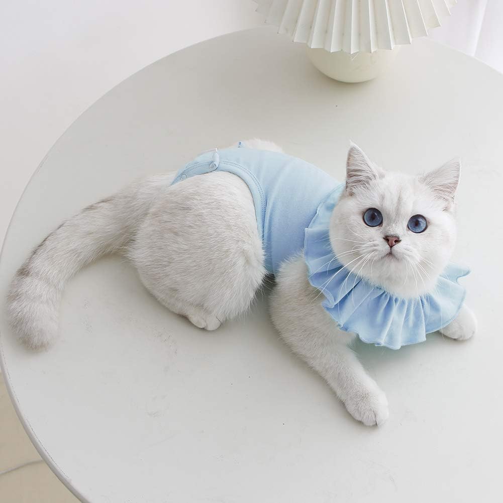 Kukaster Pet feline surgical garment covering the abdominal wound area securely.