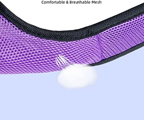 Niteangel pet walking set featuring adjustable chest and stomach straps