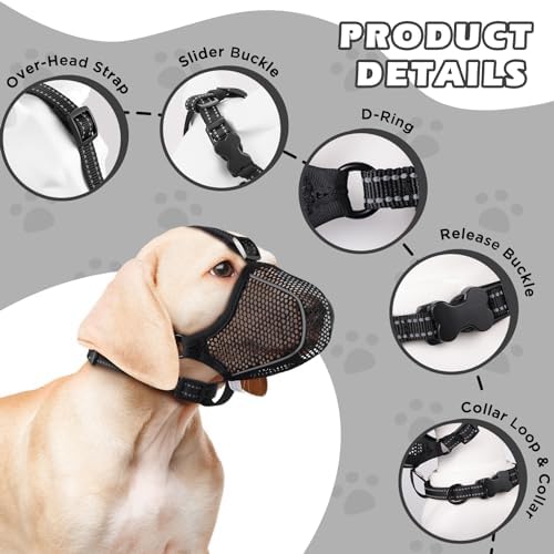 Bonthee dog muzzle showing reflective trim features