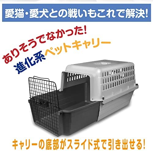 Van Ness sturdy plastic travel kennel from an elevated perspective