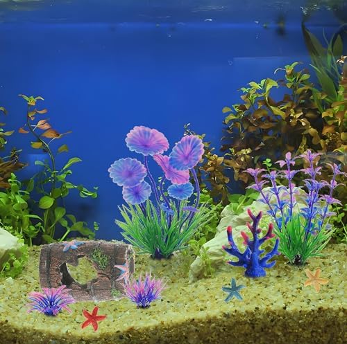 MQACPUPY small aquarium landscaping accessories arranged inside a five gallon tank.
