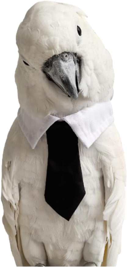 CXYYXF parrot bow tie necktie collar costume front view on white background