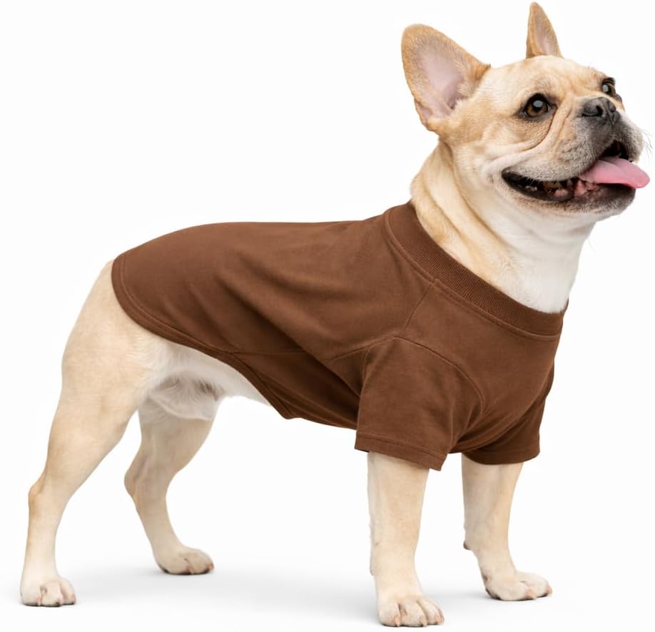 Lovelonglong Pet Clothing Dog Costumes Dachshund Clothes Blank T-Shirt Tee Shirts for Dachshund Dogs,Corgi 100% Cotton White D-M - Image 10