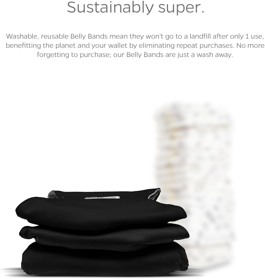 Side view of a senior dog comfortably wearing the Pet Parents black belly band